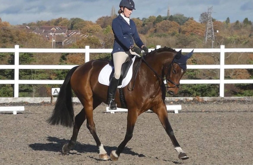 Howden Winter Intermediate Dressage Qualifier
