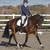 Area 5 Open Winter Dressage Qualifier at Weston Lawns