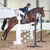Area 5 Horslyx Winter Show Jumping Qualifiers