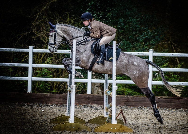  Junior & Senior Show Jumping Qualifier 2025