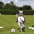 2026 NAF JUNIOR & SENIOR AREA 5 SUMMER DRESSAGE QUALIFIER