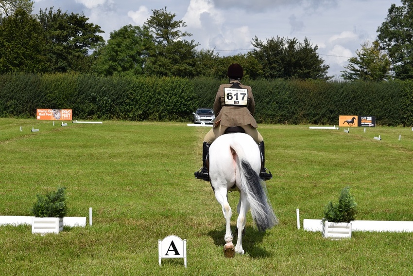 2025 NAF JUNIOR & SENIOR AREA 5 SUMMER DRESSAGE QUALIFIER