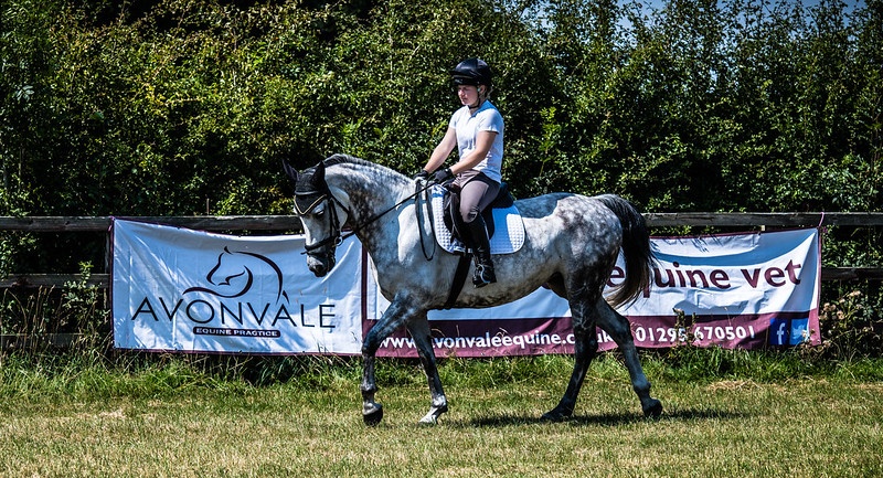 Stressless Dressage at Swalcliffe Park Equestrian sponsored by Avonvale Equine Practice