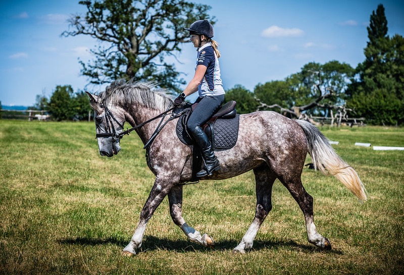 Stressless Dressage 2021 at Swalcliffe Park Equestrian Sponsored by Avonvale Equine Practice
