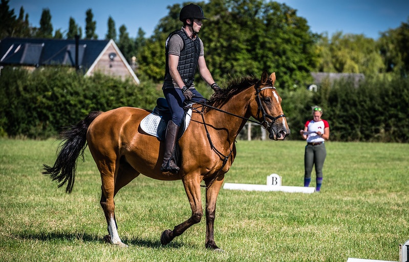 Stressless Dressage at Village Farm, Bletchington sponsored by Avonvale Equine Practice