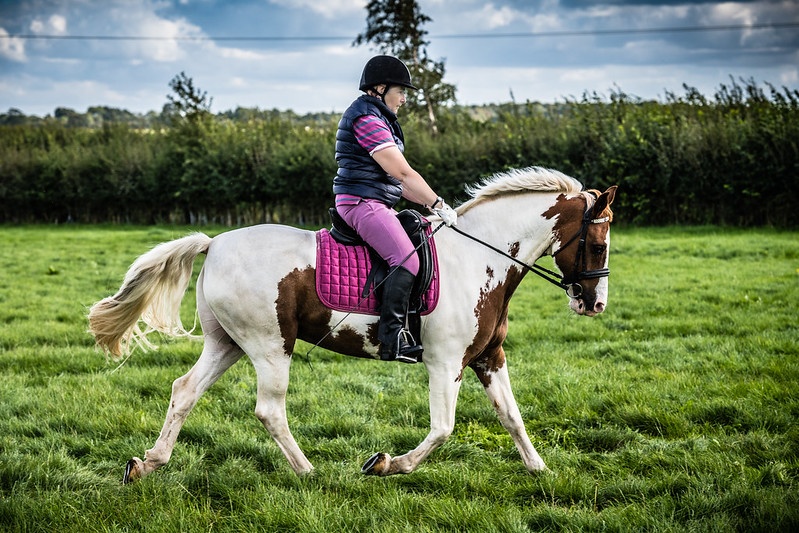 Stressless Dressage at Willicote Equestrian Centre Sponsored by Avonvale Equine Practice