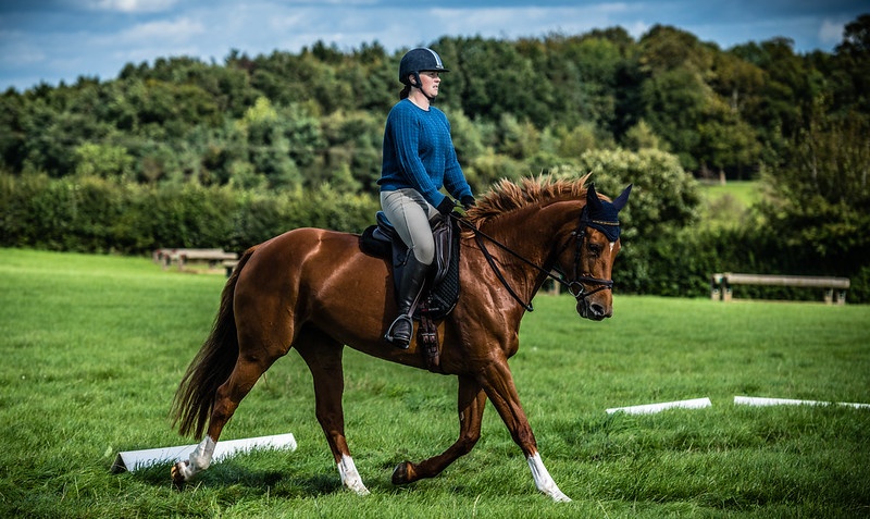 Stressless Dressage at Westfield Stables kindly sponsored by Avonvale Equine Practice