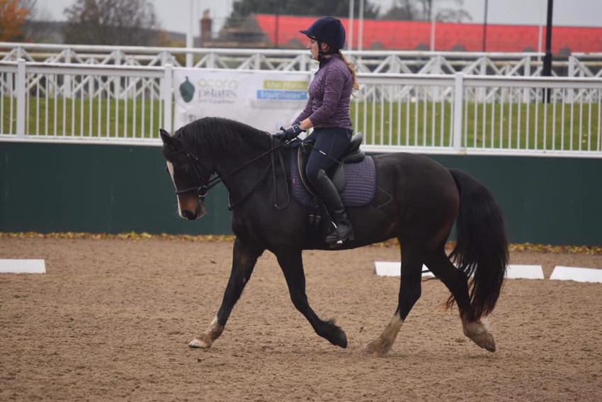 Stressless Dressage at Westfield Stables, Lighthorne