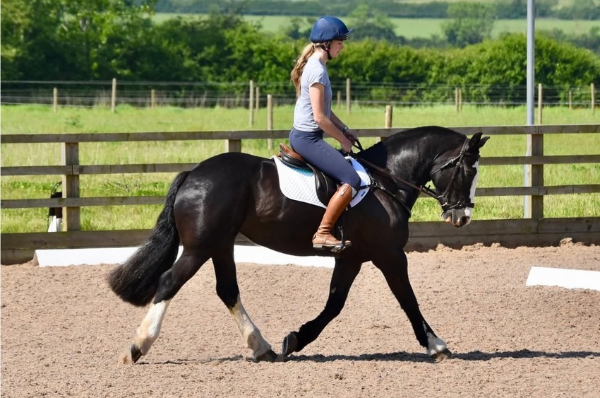 October Stressless Dressage