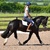 Stressless Dressage 2026 at Barcheston Grounds Farm