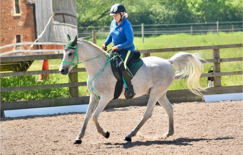 Stressless Dressage at Barcheston Grounds Farm, Shipston on Stour