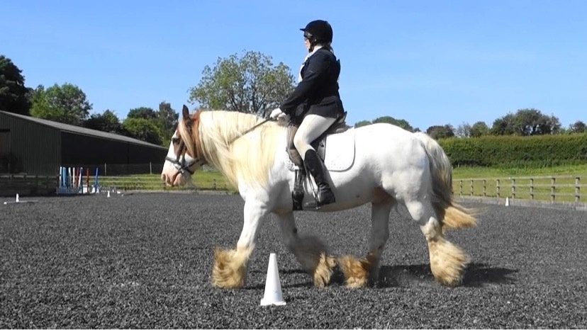 BRC Equilibrium Christmas Cracker Online Dressage Competition